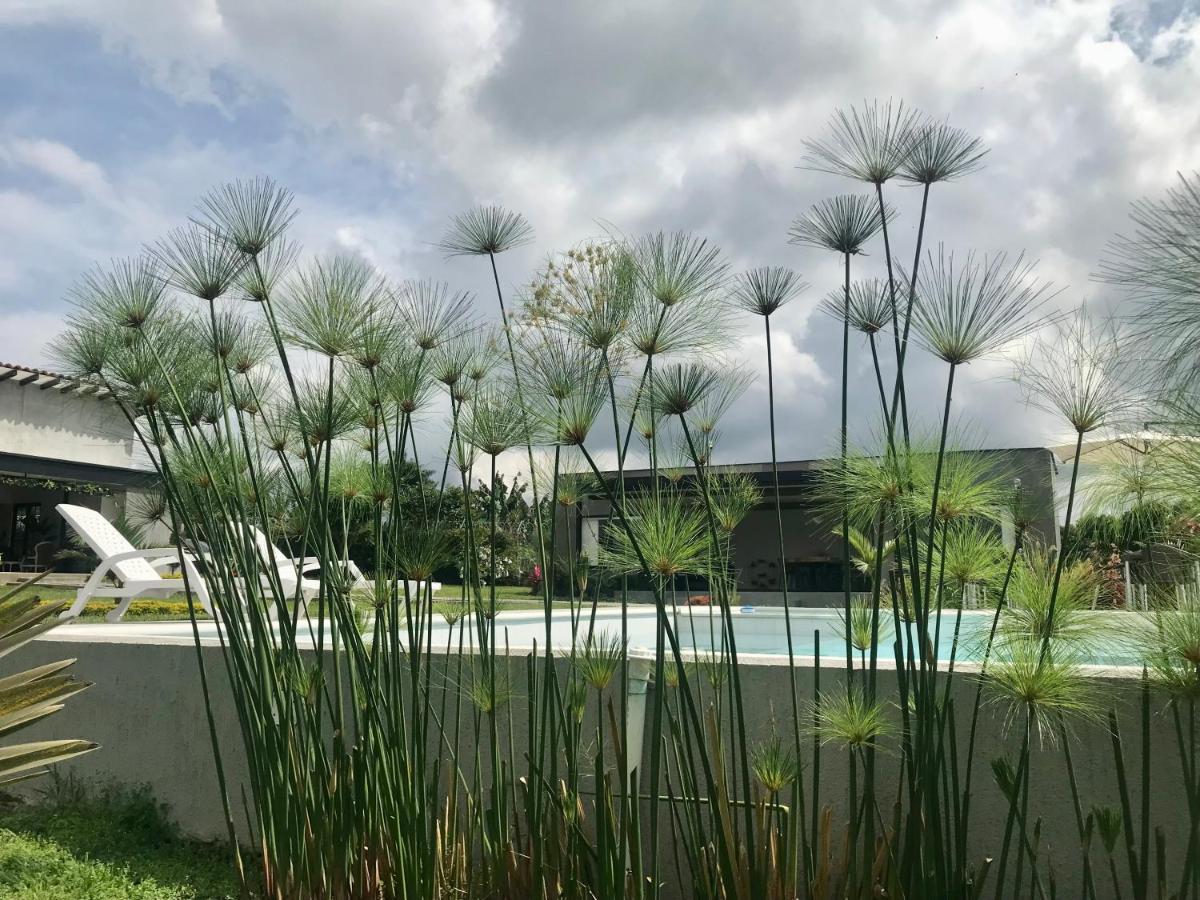 Torcaza Casa De Campo キンバヤ エクステリア 写真